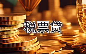 屯昌税票贷